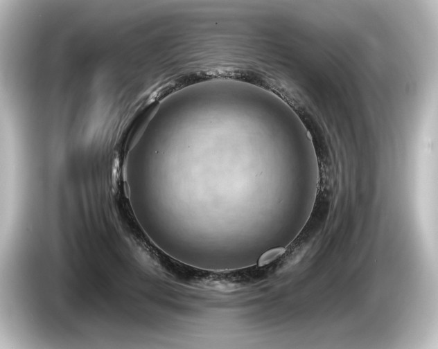 X0000085740648200703161029