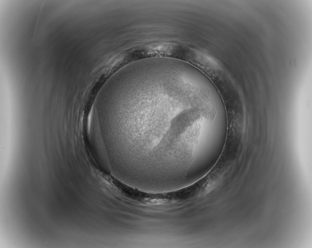 X0000085740649200703161029