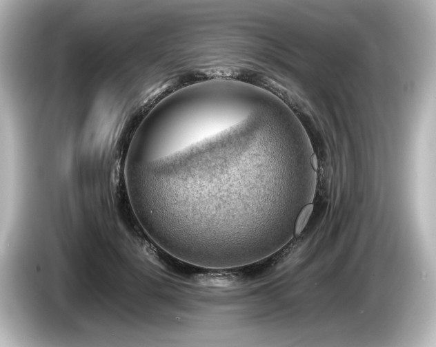 X0000085740652200703161029