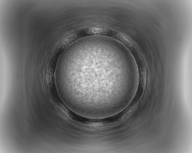 X0000085740653200703161029
