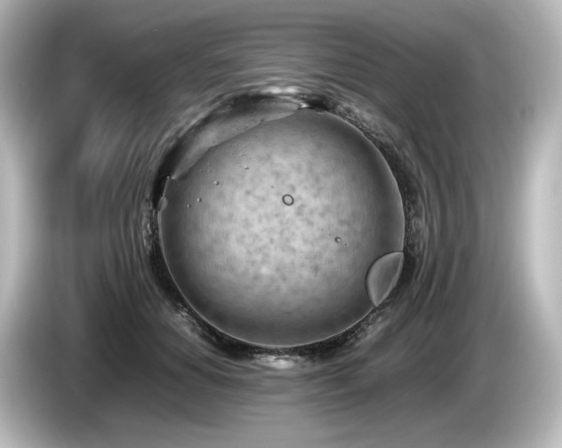 X0000085740654200703161029