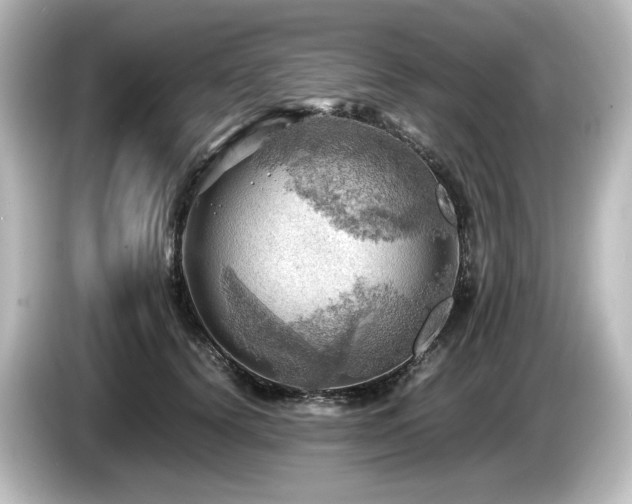 X0000085740656200703161029