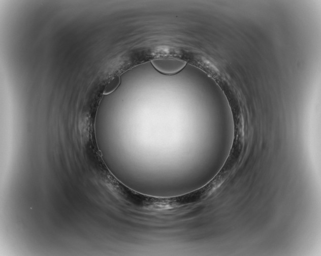 X0000085740659200703161029
