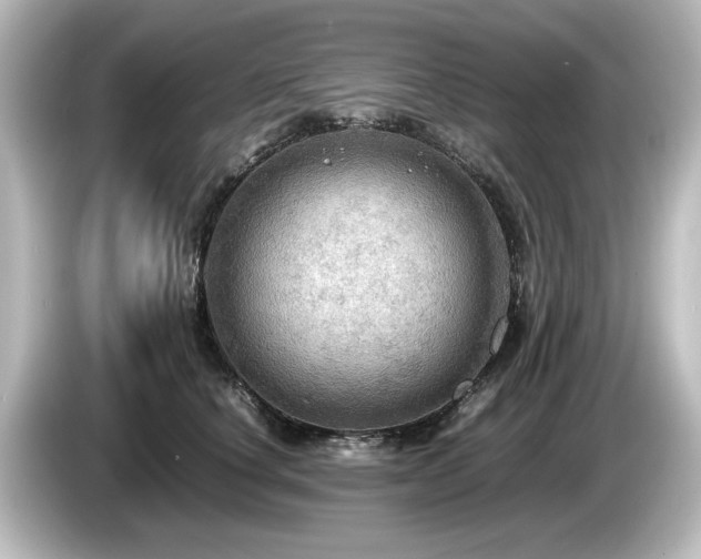 X0000085740660200703161029