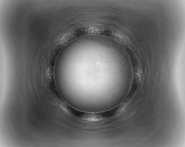 X0000085740663200703161029