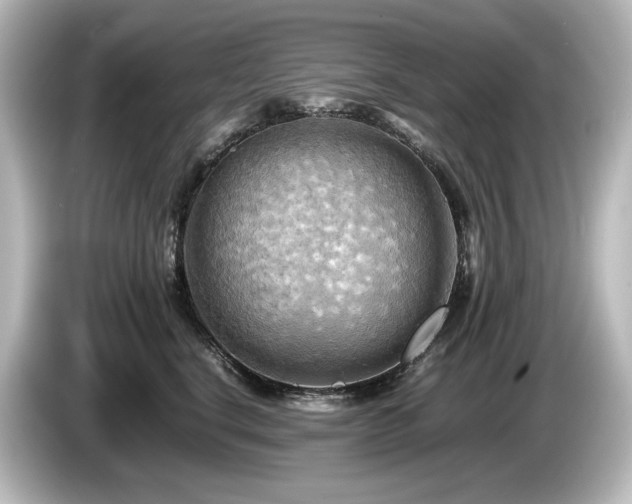 X0000085740664200703161029
