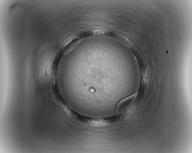X0000085740666200703161029