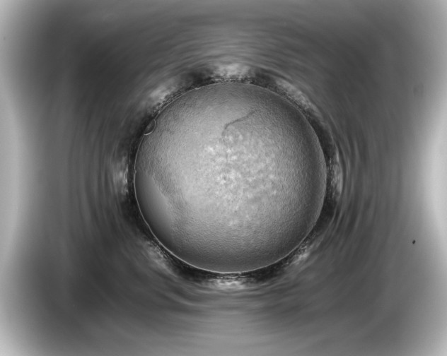 X0000085740668200703161029