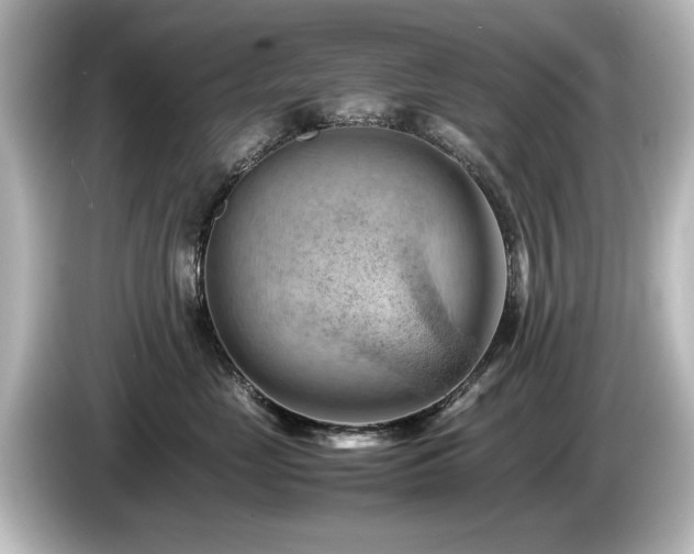 X0000085740669200703161029