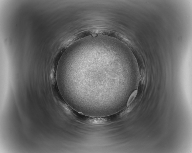 X0000085740670200703161029
