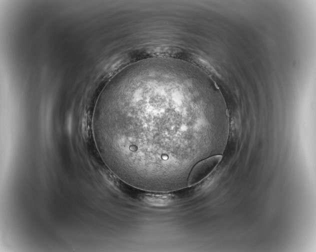 X0000085740671200703161029