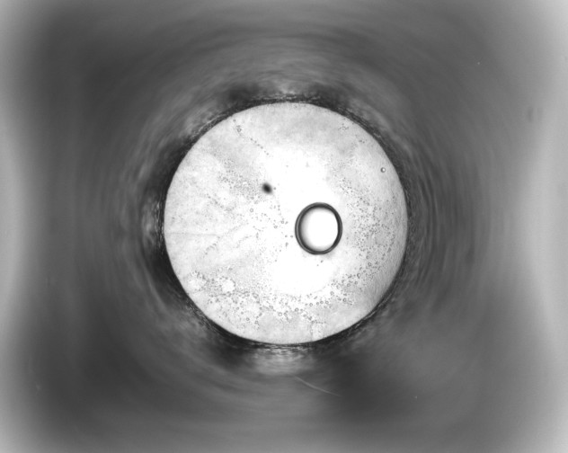 X0000085740672200703161029