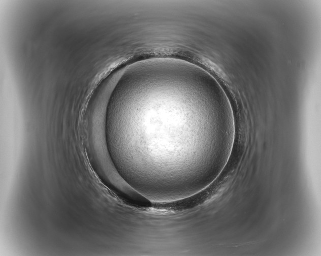 X0000085740673200703161028