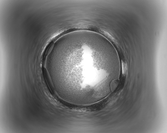 X0000085740675200703161028