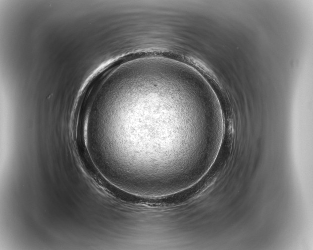 X0000085740676200703161028