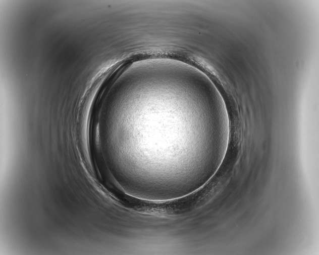 X0000085740677200703161028