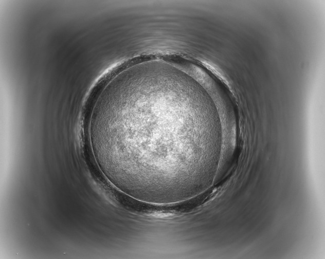X0000085740680200703161028