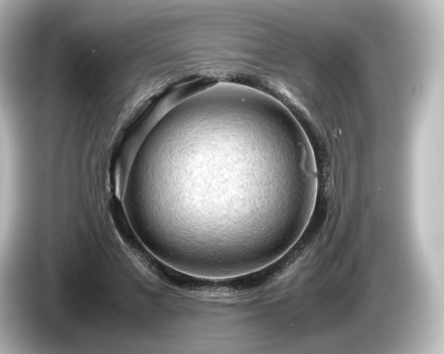 X0000085740685200703161028