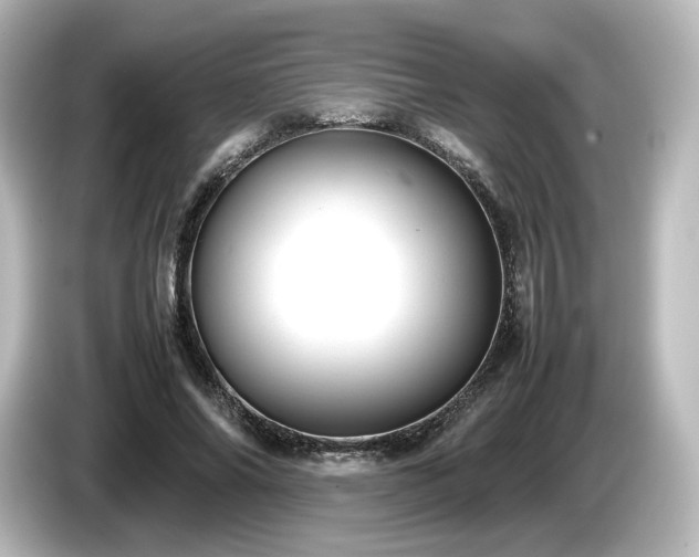 X0000085740686200703161028