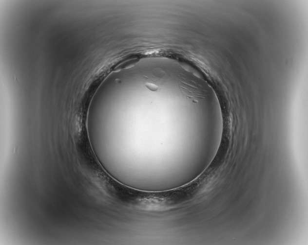 X0000085740691200703161028
