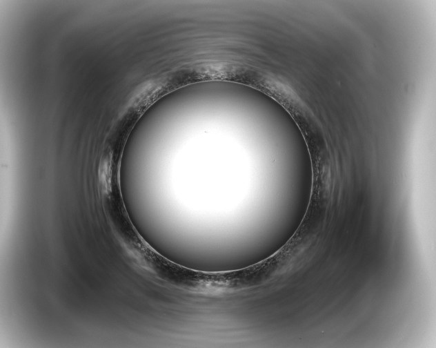 X0000085740694200703161028