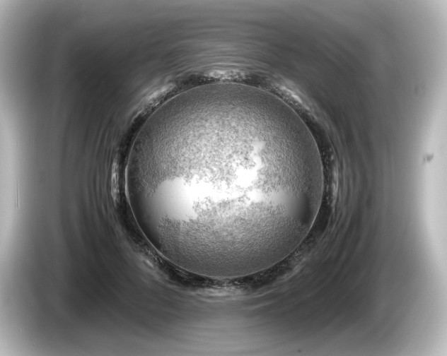 X0000085740696200703161028