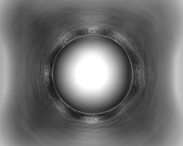 X0000085740698200703161028