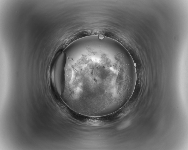 X0000085740699200703161028