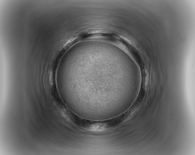 X0000085740700200703161028