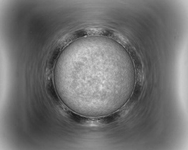 X0000085740701200703161028
