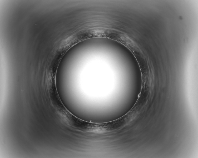 X0000085740702200703161028