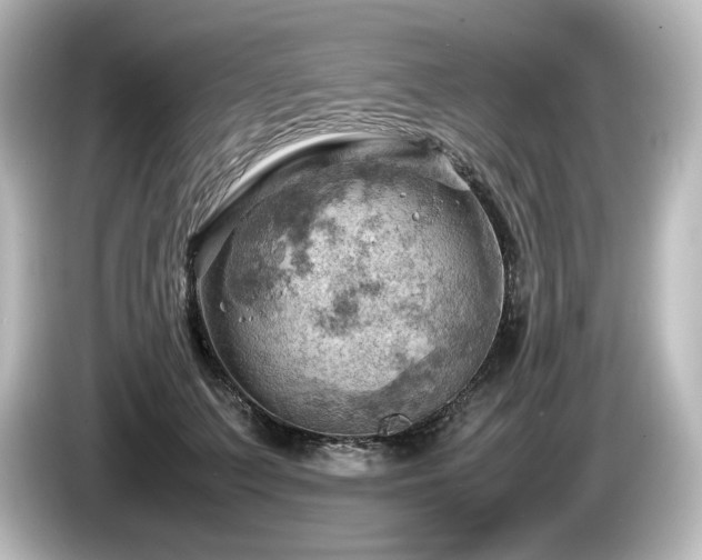 X0000085740703200703161028