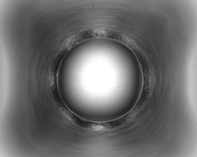 X0000085740706200703161028