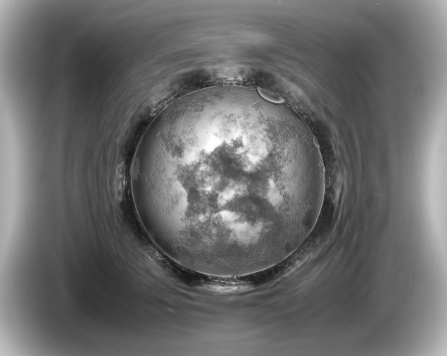 X0000085740707200703161028