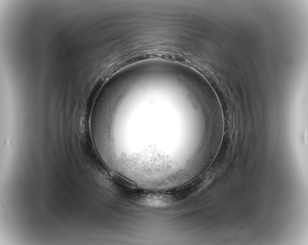 X0000085740708200703161028