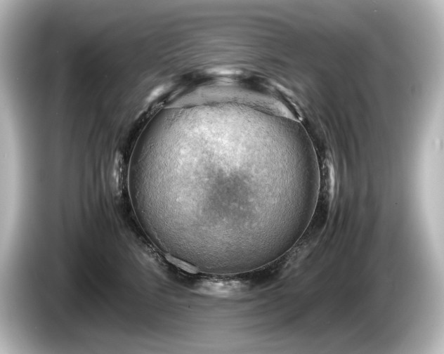 X0000085740712200703161028