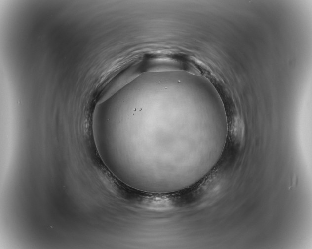 X0000085740715200703161028
