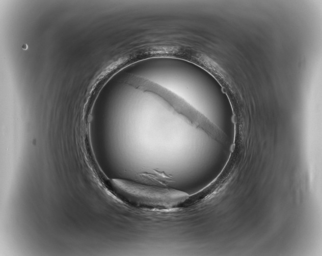X0000085740721200703161027
