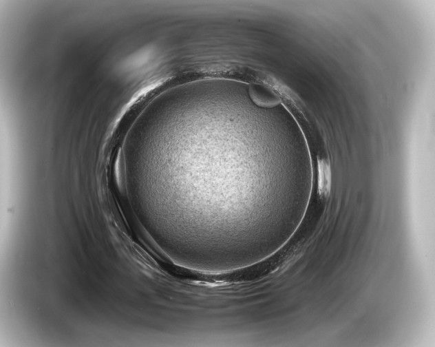 X0000085740723200703161027