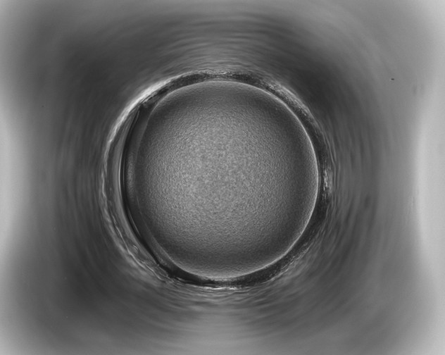 X0000085740724200703161027