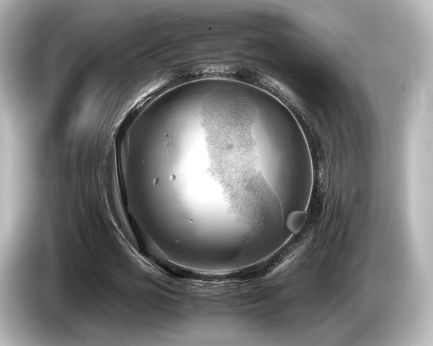 X0000085740725200703161027
