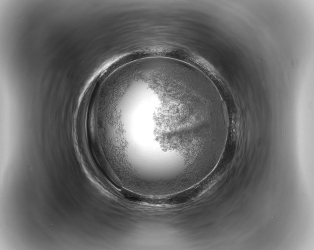 X0000085740726200703161027