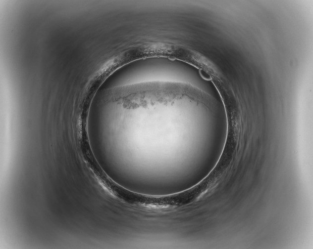 X0000085740729200703161027