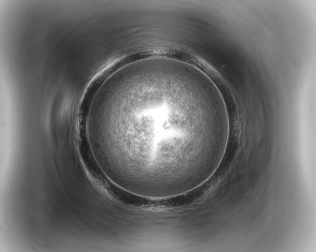 X0000085740730200703161027