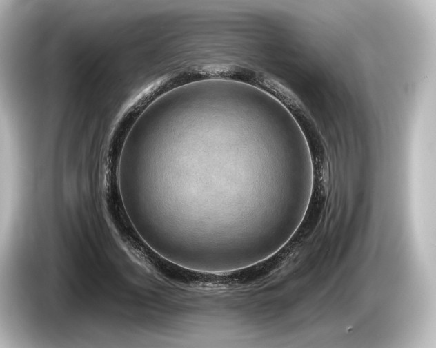X0000085740732200703161027
