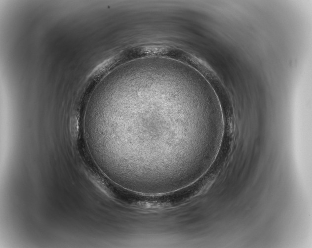 X0000085740733200703161027