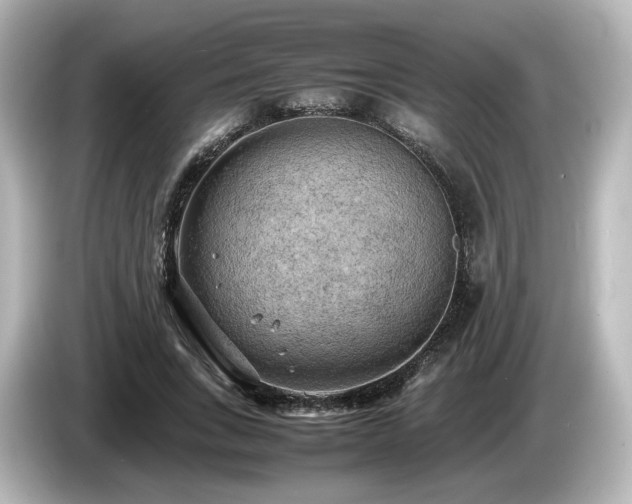 X0000085740735200703161027