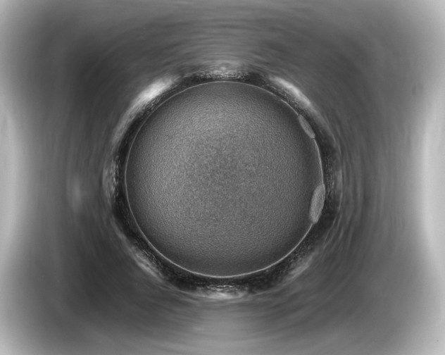 X0000085740736200703161027