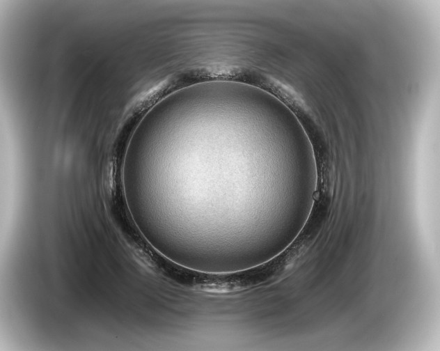 X0000085740740200703161027