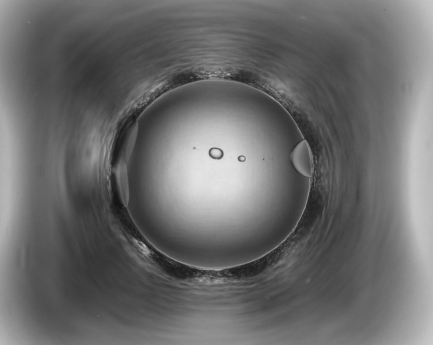 X0000085740742200703161027